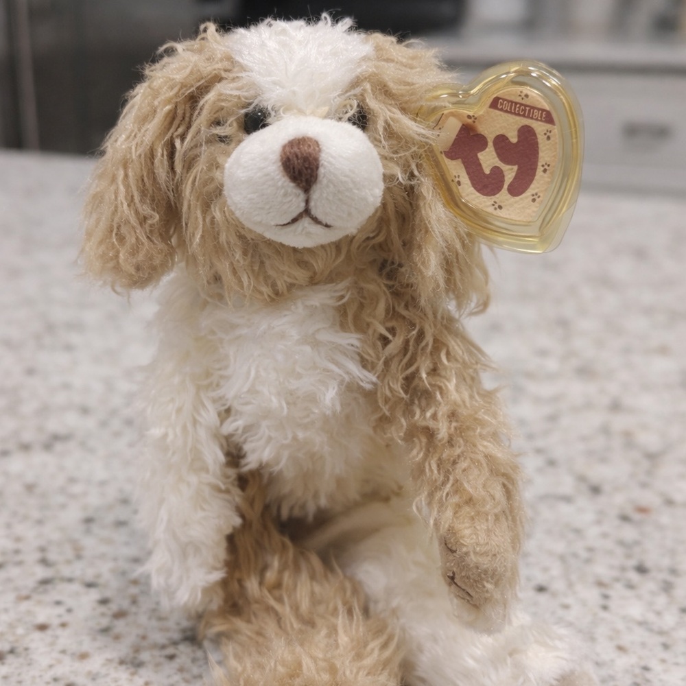 TY Collectible Plush – Soft scruffy/ – 8” – Tag Attached
